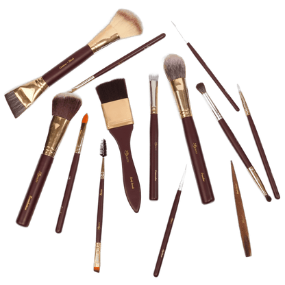 The thirteen Rasa brushes laid out